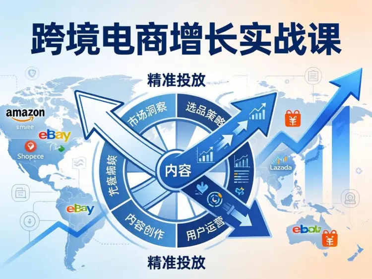 跨境电商增长实战课：内容飞轮 + 精准投放打造爆款-知峰研习社