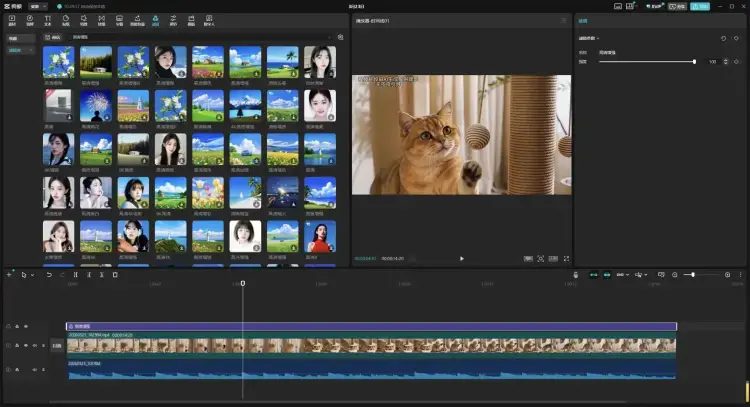 2026 宠物带货新玩法！1.5 万粉丝撬动 18.7 万人橱窗跟买