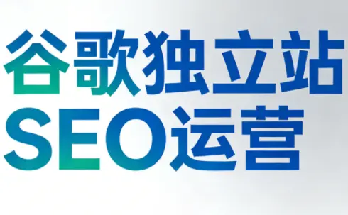 谷歌独立站SEO运营(更新2026)-知峰云课