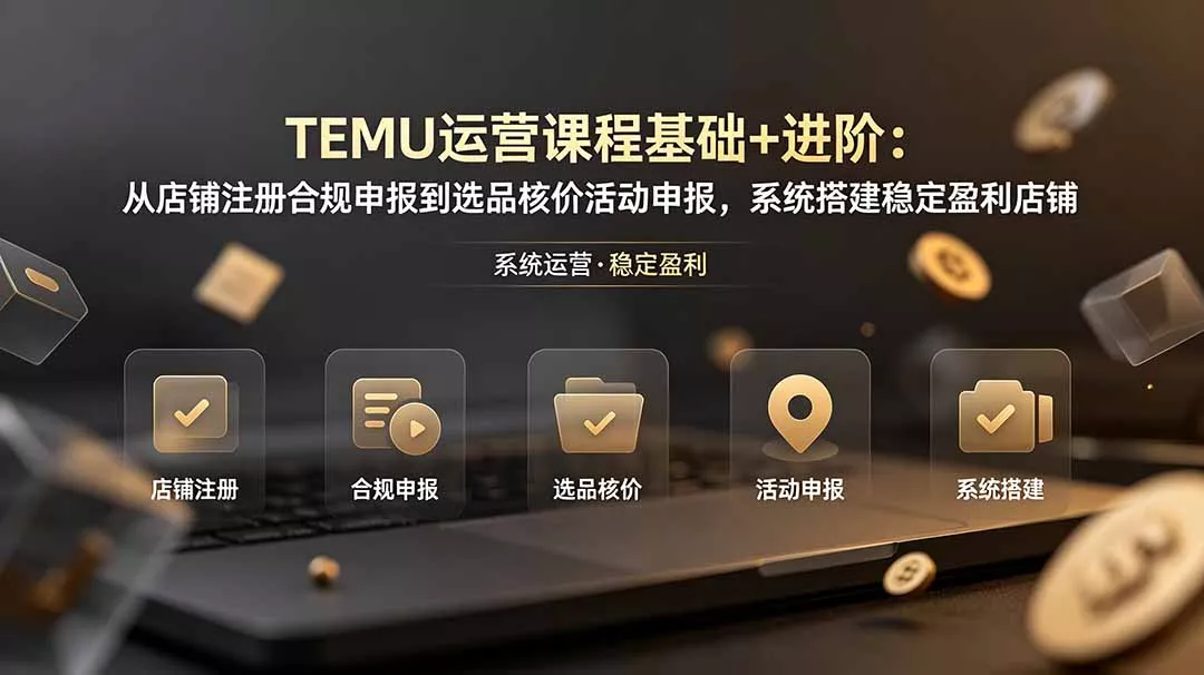 TEMU运营课程(基础+进阶-知峰社