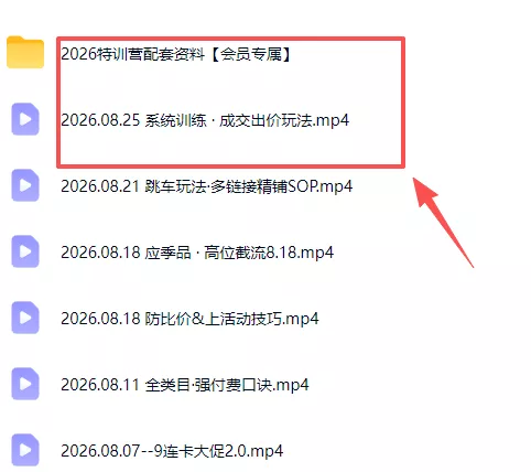 拼多多实战特训营(更新26年0827