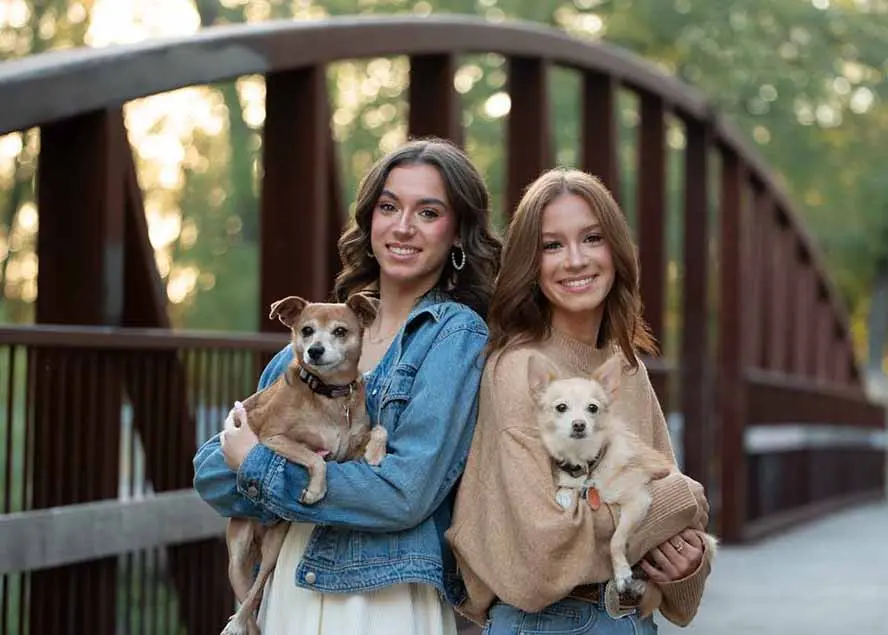 大师级GTG出品-老友记系列AI自适应预设The Friends Preset Collection