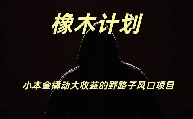 橡木计划,小投入撬动高回报的风口野路子项目,一天投入2小时左右 橡木计划,小投入撬动高回报的风口野路子项目,一天投入2小时左右