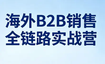 雨哥·海外B2B销售全链路实战营-知峰社