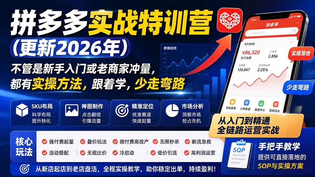 拼多多实战特训营(更新26年0821-知峰社