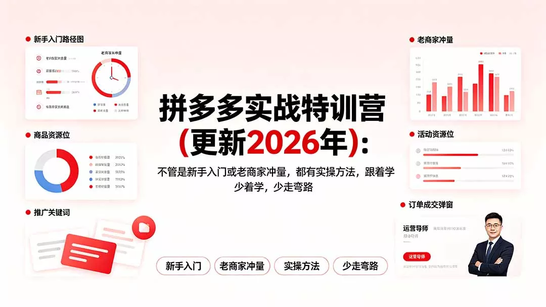 拼多多实战特训营(更新2026年-知峰社