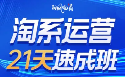 白凤电商·淘系运营21天速成班(更新8月)-知峰社
