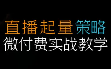 半野老师·直播带货起量与微付费必学课视频号(更新2026)-知峰云课
