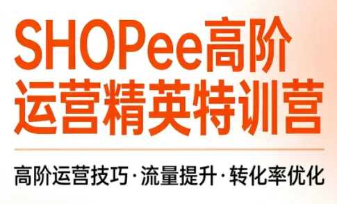 梦凡老师·Shopee虾皮高阶运营课程-知峰云课