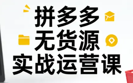 子枫老师·拼多多无货源实战运营课(更新12月)-知峰云课