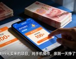 花了499元买来的项目，纯手机操作，亲测一天挣了100+